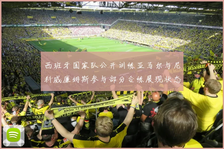 西班牙国家队公开训练亚马尔与尼科威廉姆斯参与部分合练展现状态