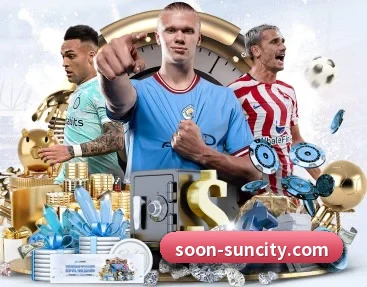 太阳城 APP 深度功能